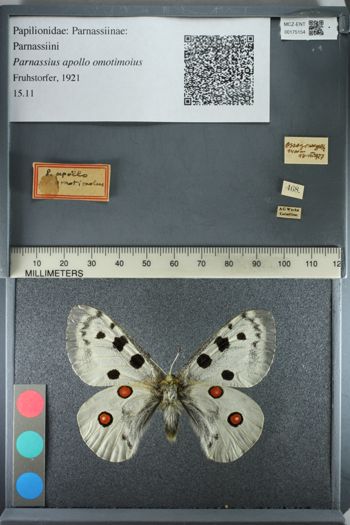 Media type: image;   Entomology 175154